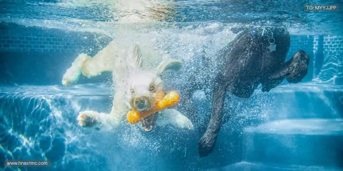 ⚽️燃爆全场，热血赛事等你挑战！